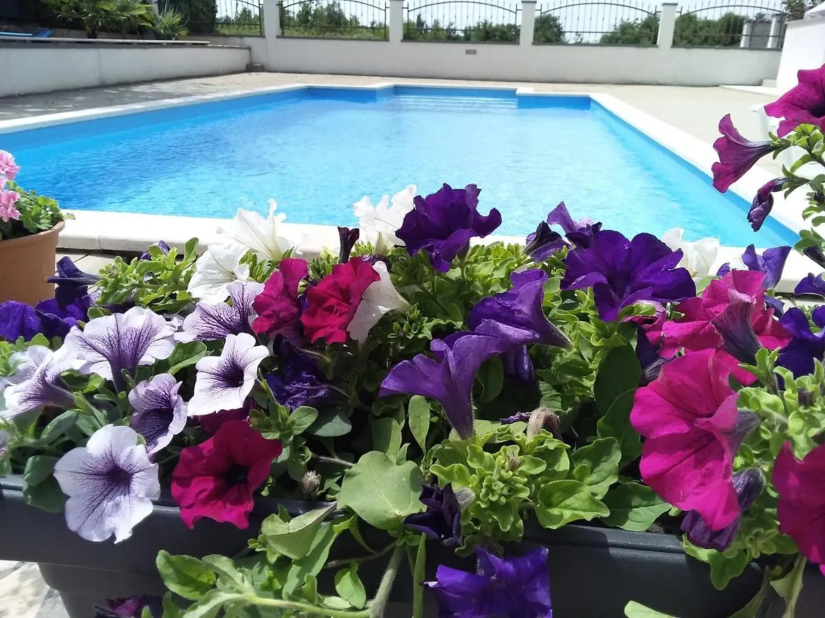 House Apartments Ariamare Porec 0*,
