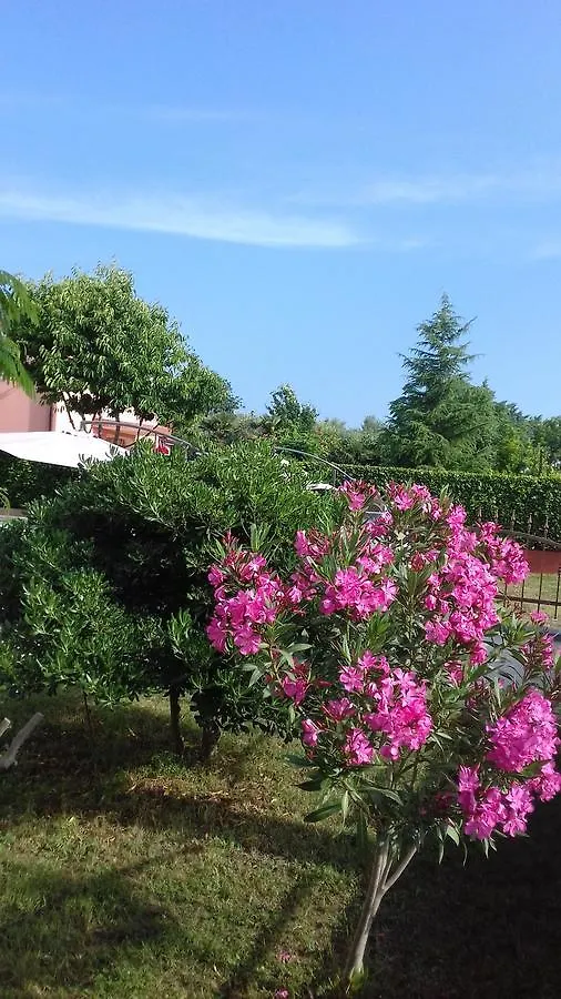 House Apartments Ariamare Porec Croatia